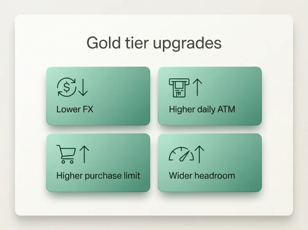 Summary panel highlighting Payz Gold tier features including lower FX rate and expanded limits