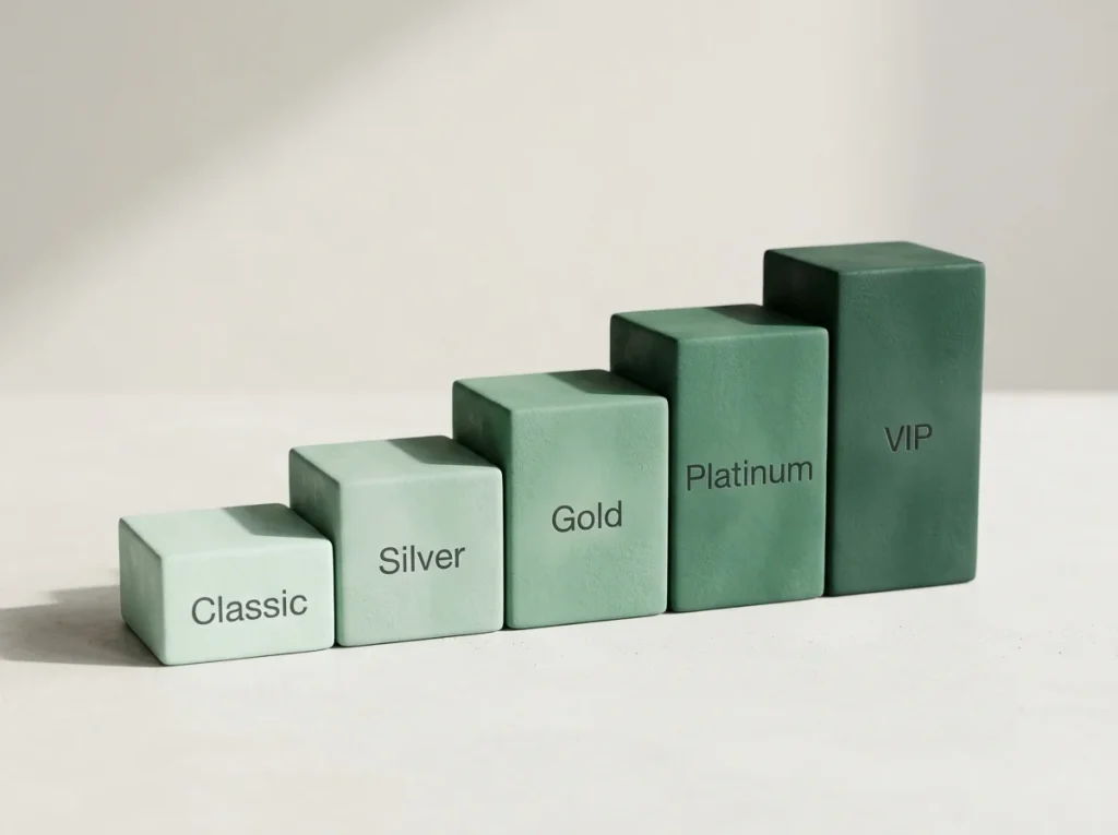 Payz five-tier account ladder showing Classic, Silver, Gold, Platinum and True VIP progression