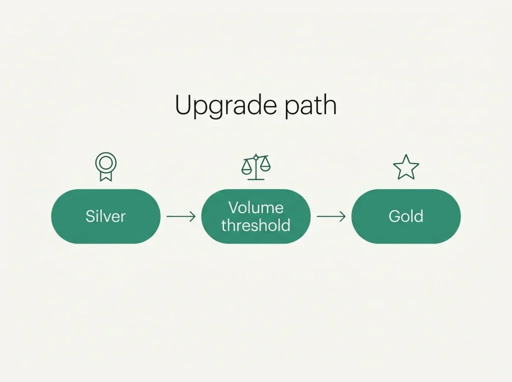 Path illustration showing the upgrade route from Silver to Gold tier at Payz
